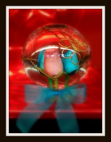 A mi mamá le gusto mucho